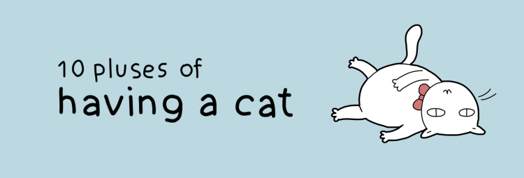 caten-0011__880.png